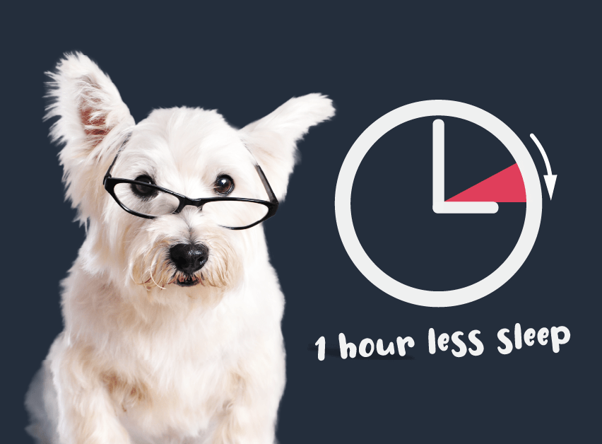 Outsmart Daylight Saving Time and Get Your Hour Back with Tuft