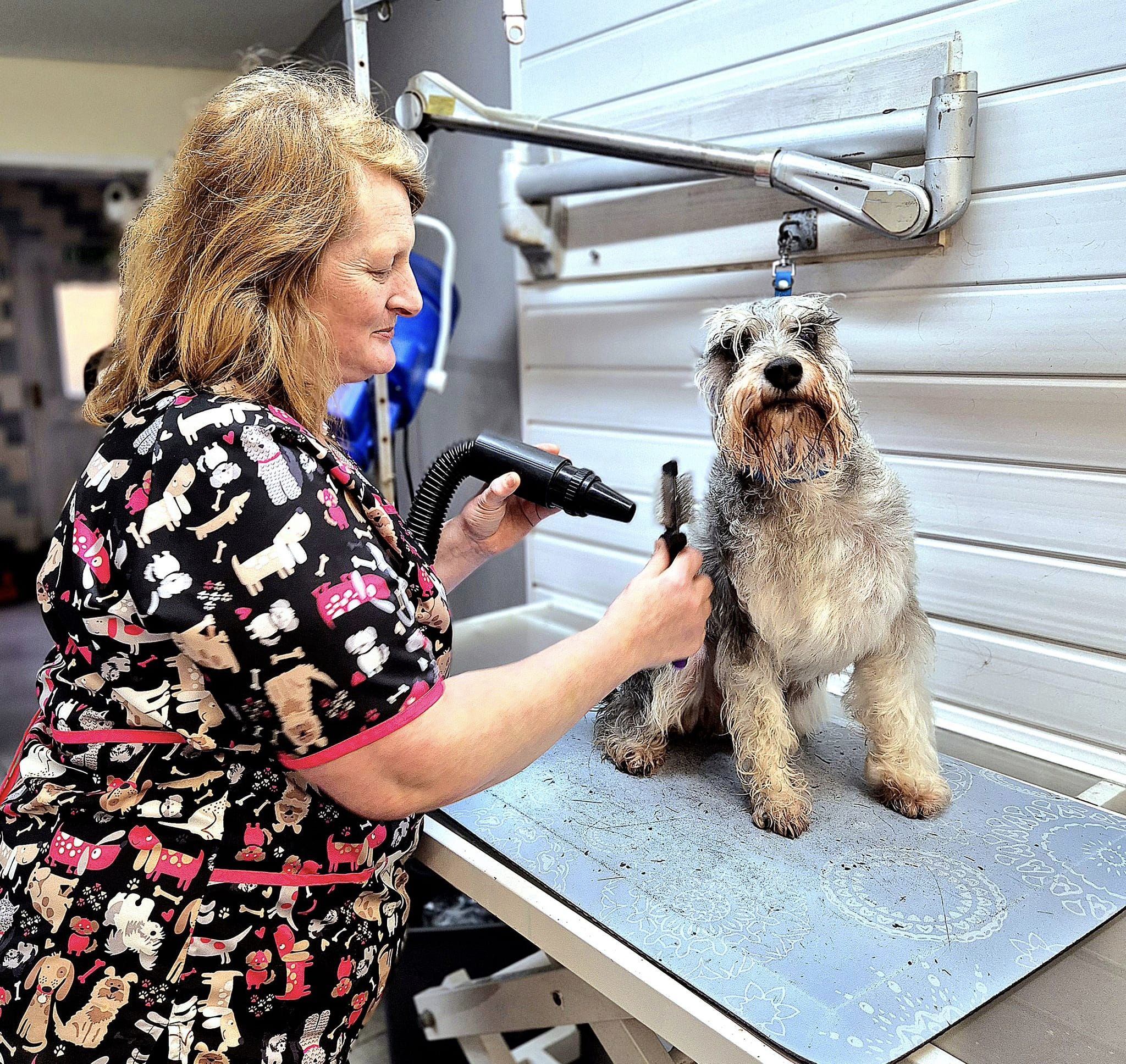 Blog Tuft Pet Grooming Software