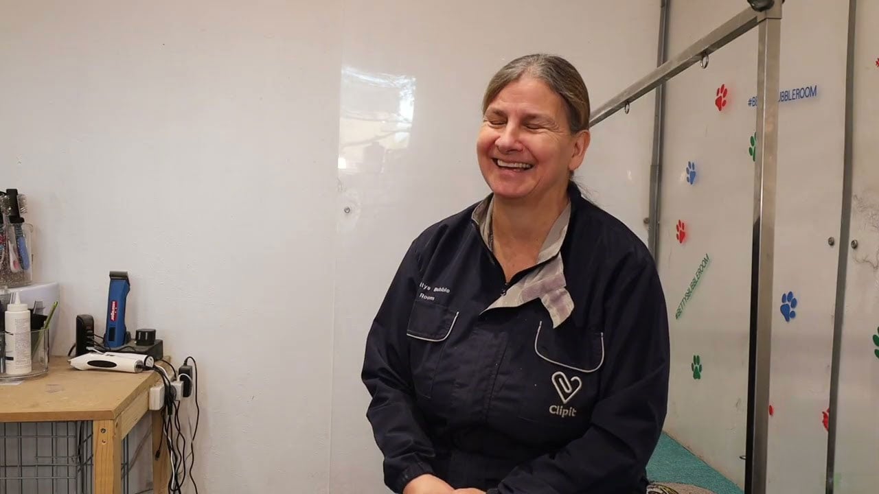 How Betty’s Bubble Room Swapped Paper Chaos for a Calm, Convenient Grooming Routine