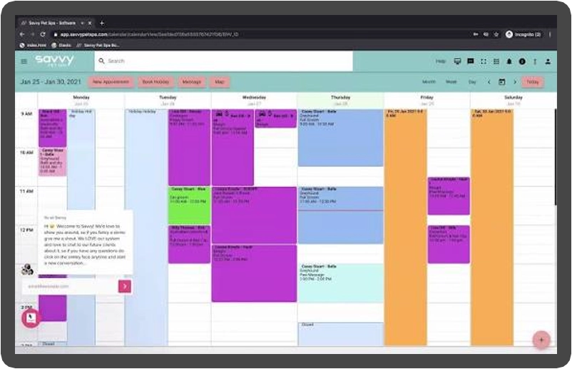 Savvy Pet's colour-coded diary showing a week of grooming appointments by groomer.