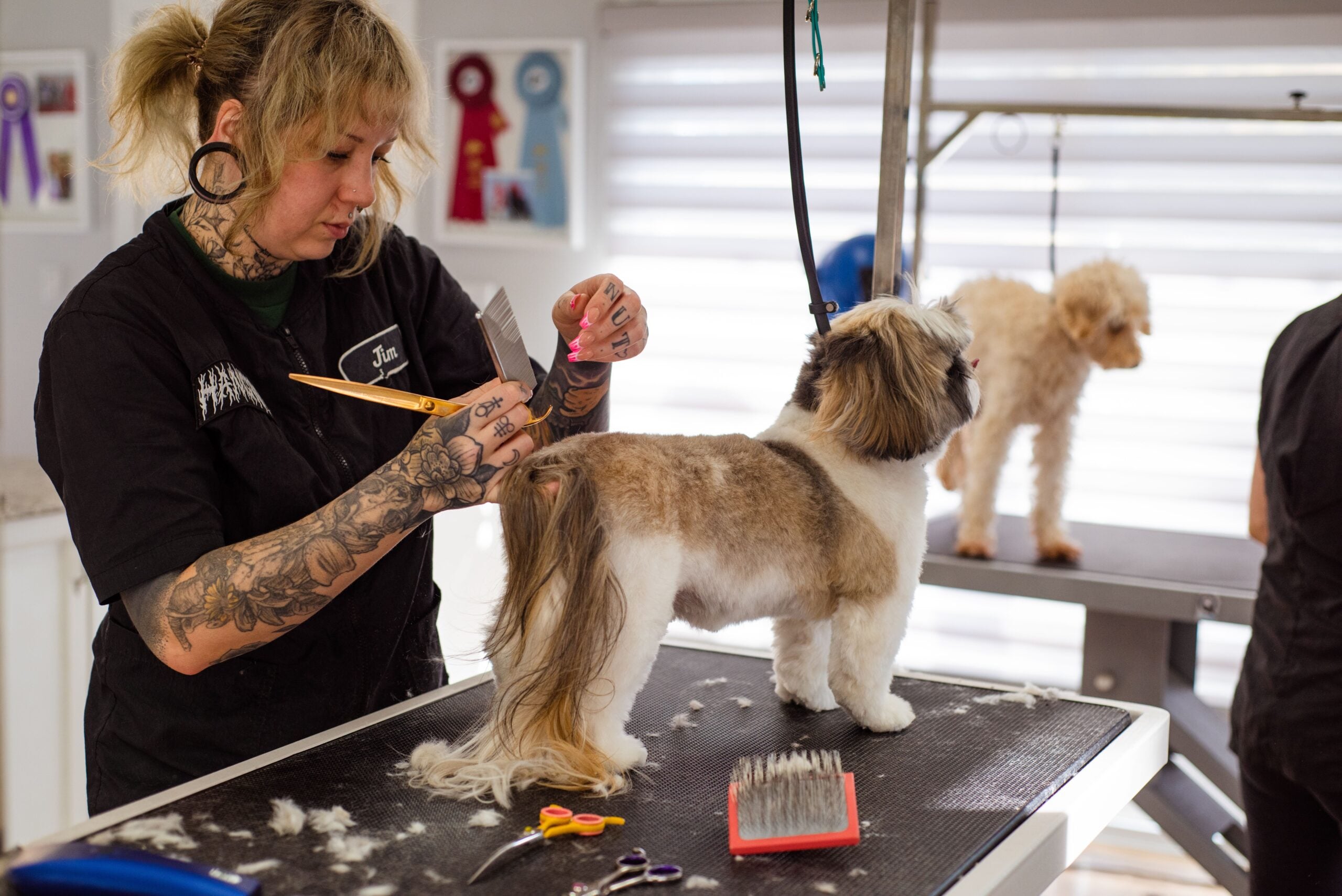 Should Dog Groomers Charge a Deposit? UK Guide 2026 | Tuft